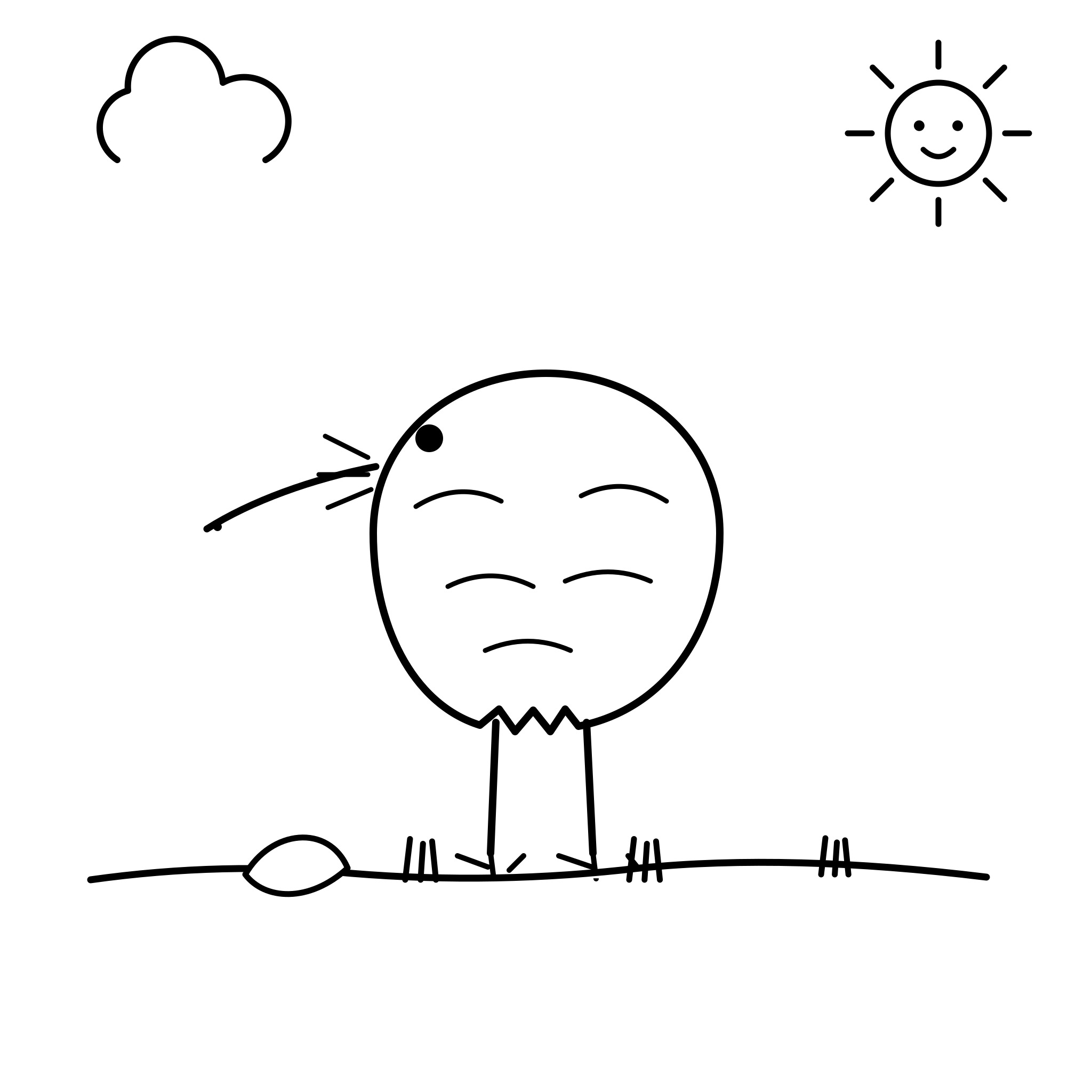 둥근 키위새