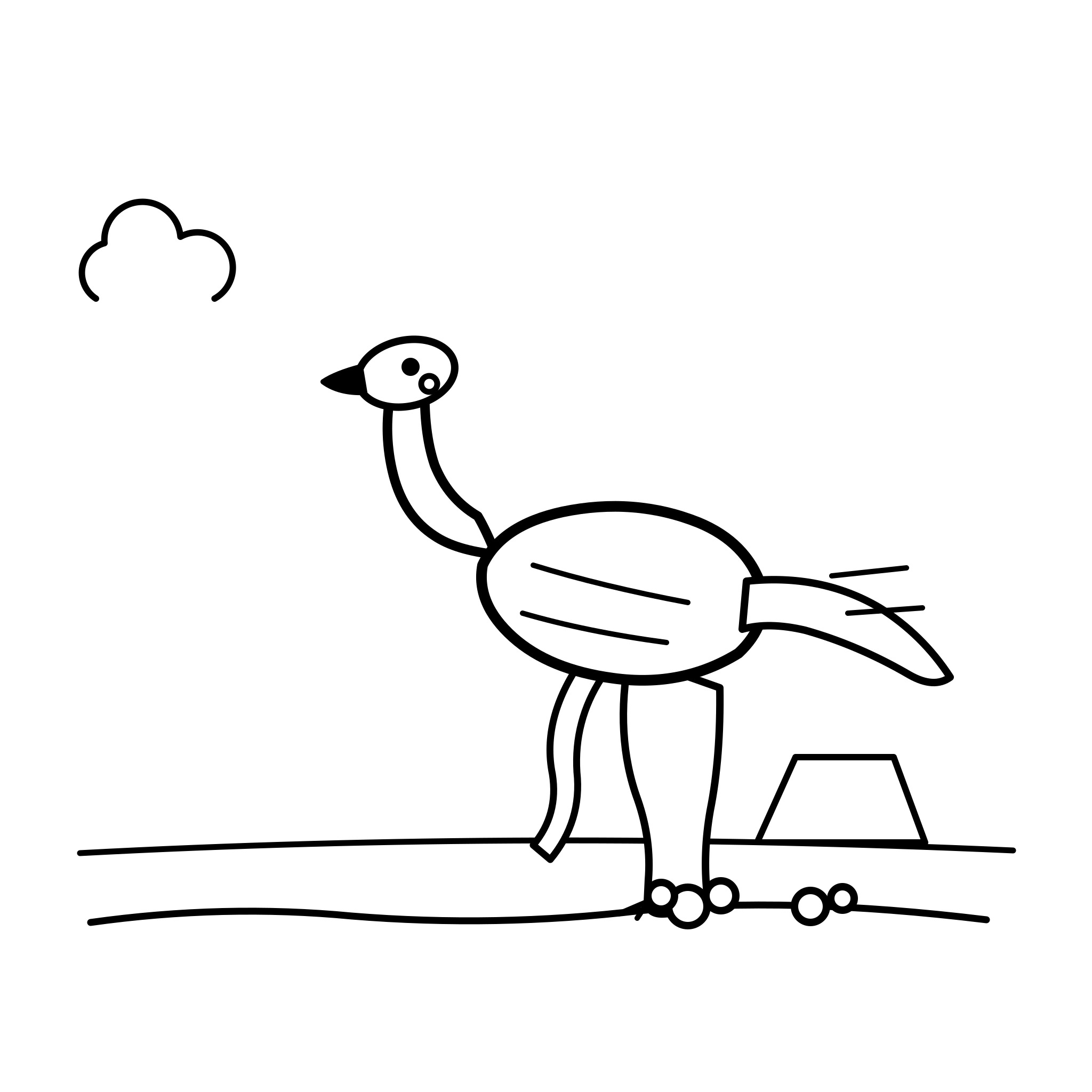 달리기 선수 갈리미무스
