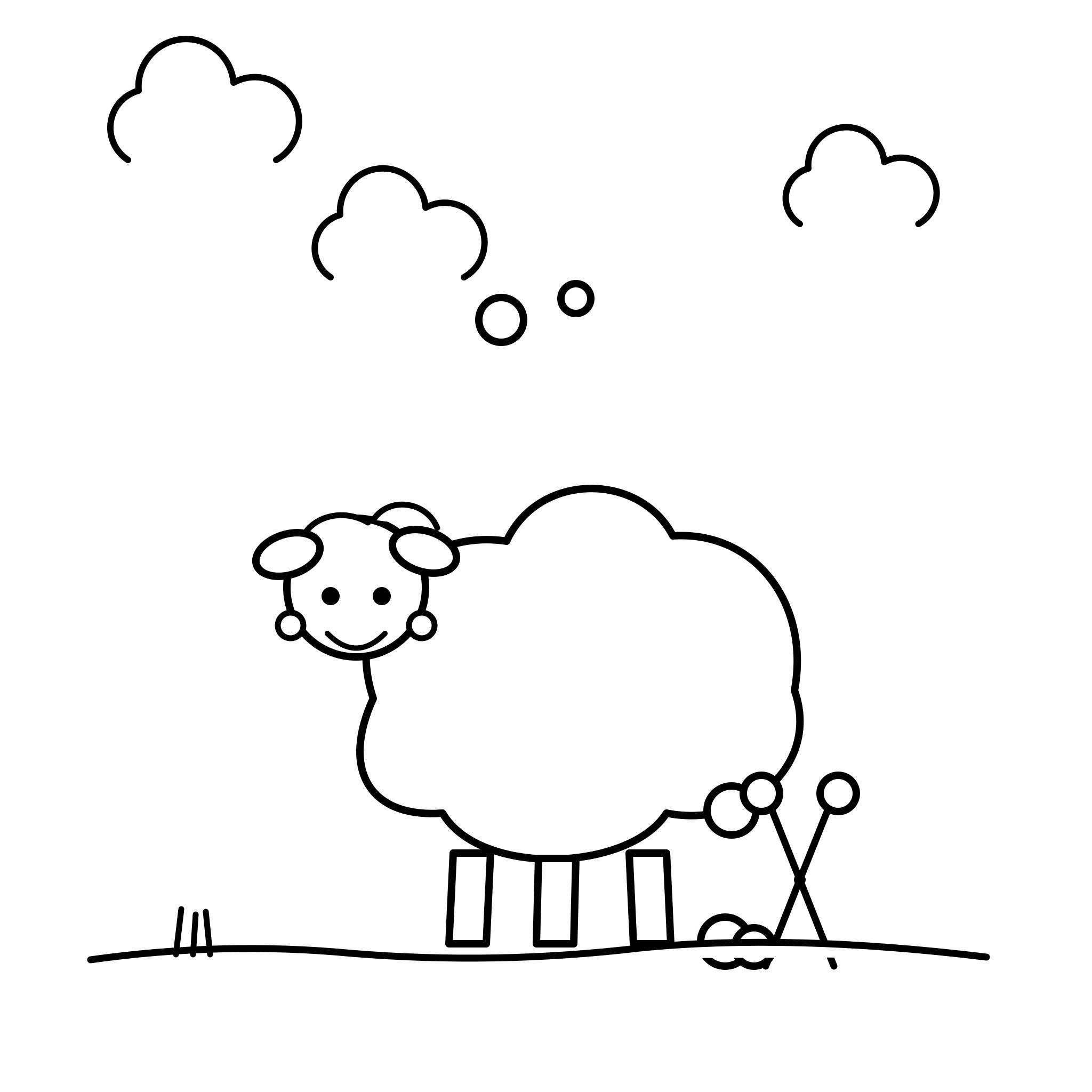 복슬복슬 양털 깎기