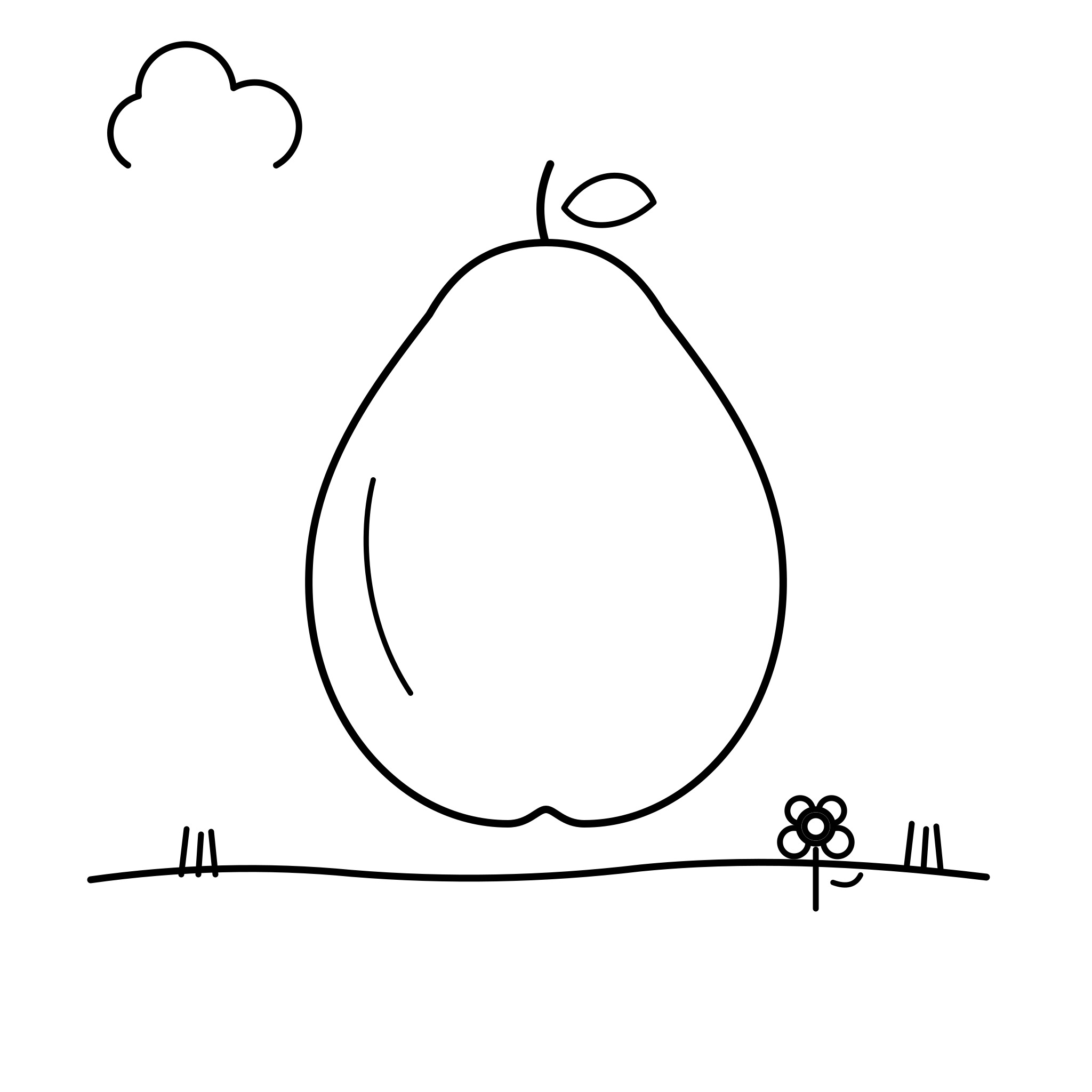 배꼽 배