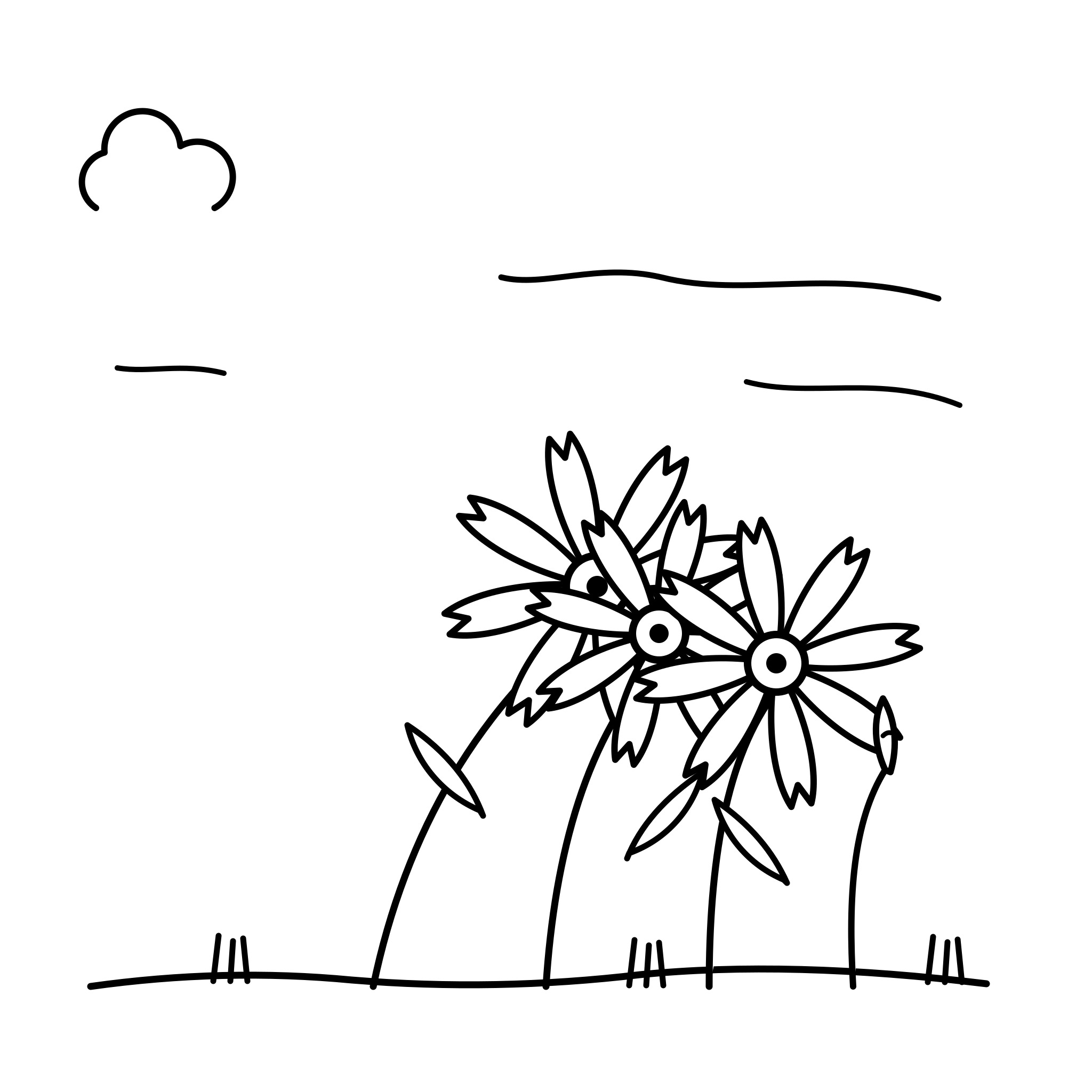 바람에 흔들리는 코스모스