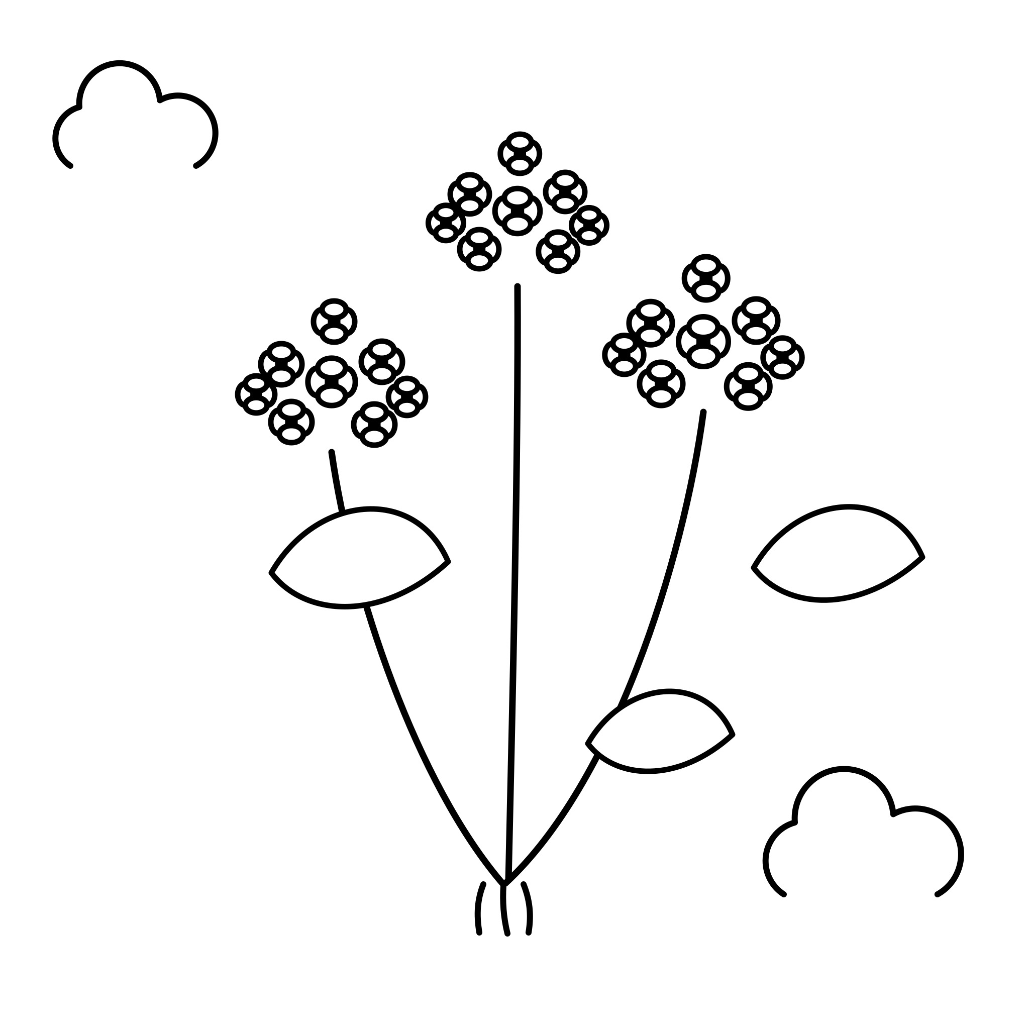 수국 꽃다발