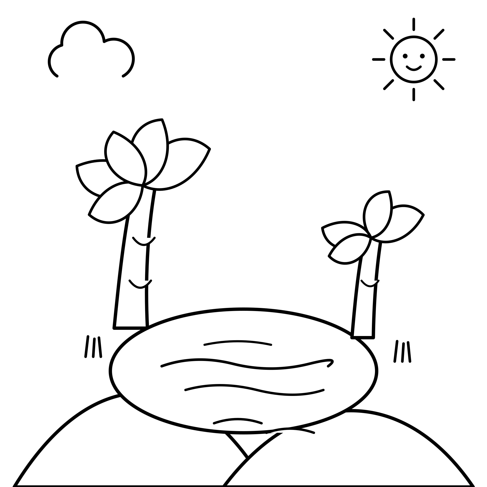 사막의 오아시스